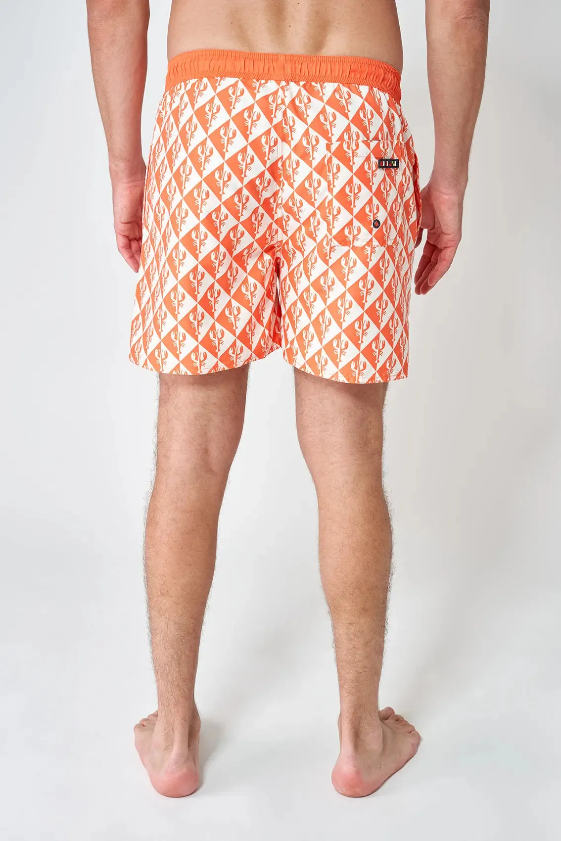 Batela Mens Swimshorts - 5 colours