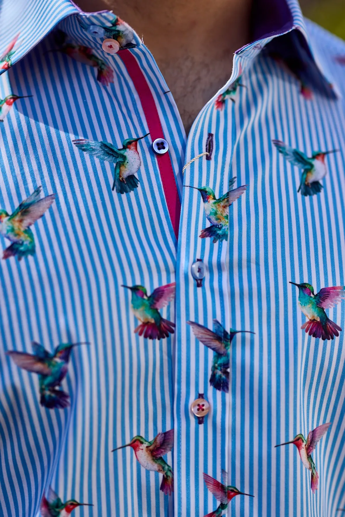 Claudio Lugli Hummingbirds