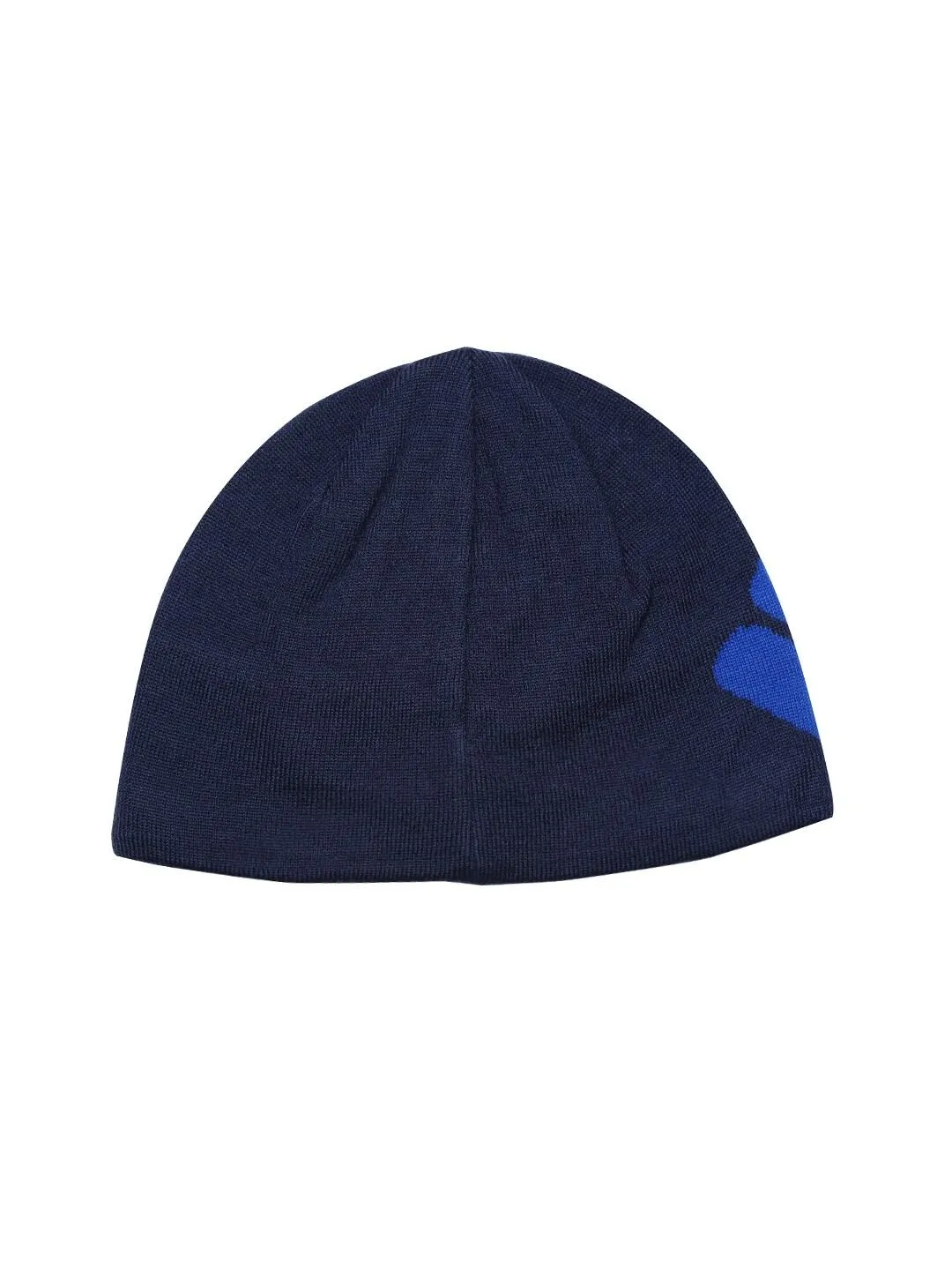 Columbia Unisex Blue Columbia Heat Beanie