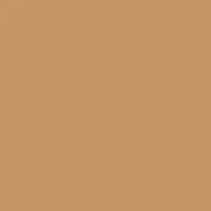 Columbia Unisex Brown Columbia Hike 110 Snap Back