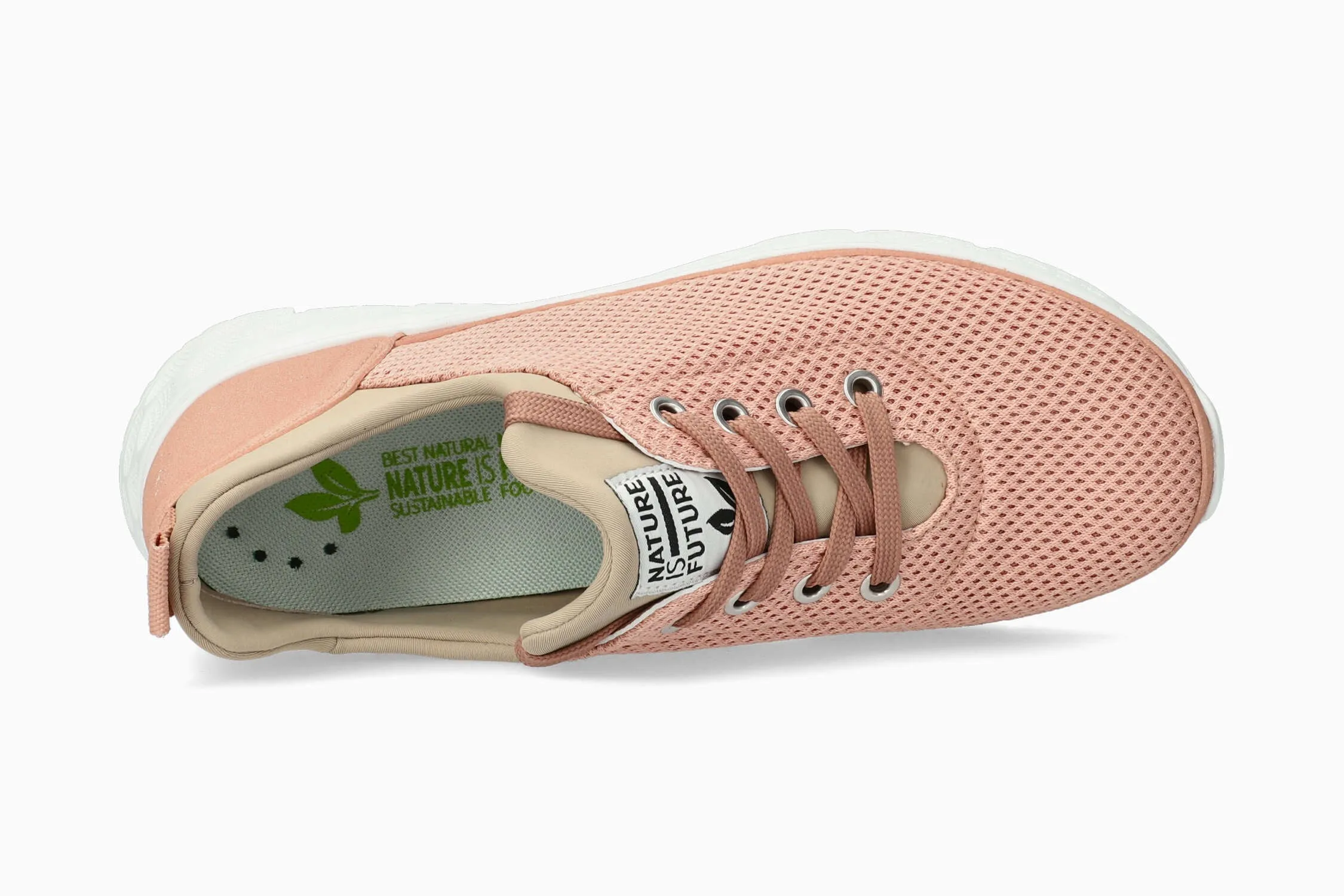 Wing - Powder Pink