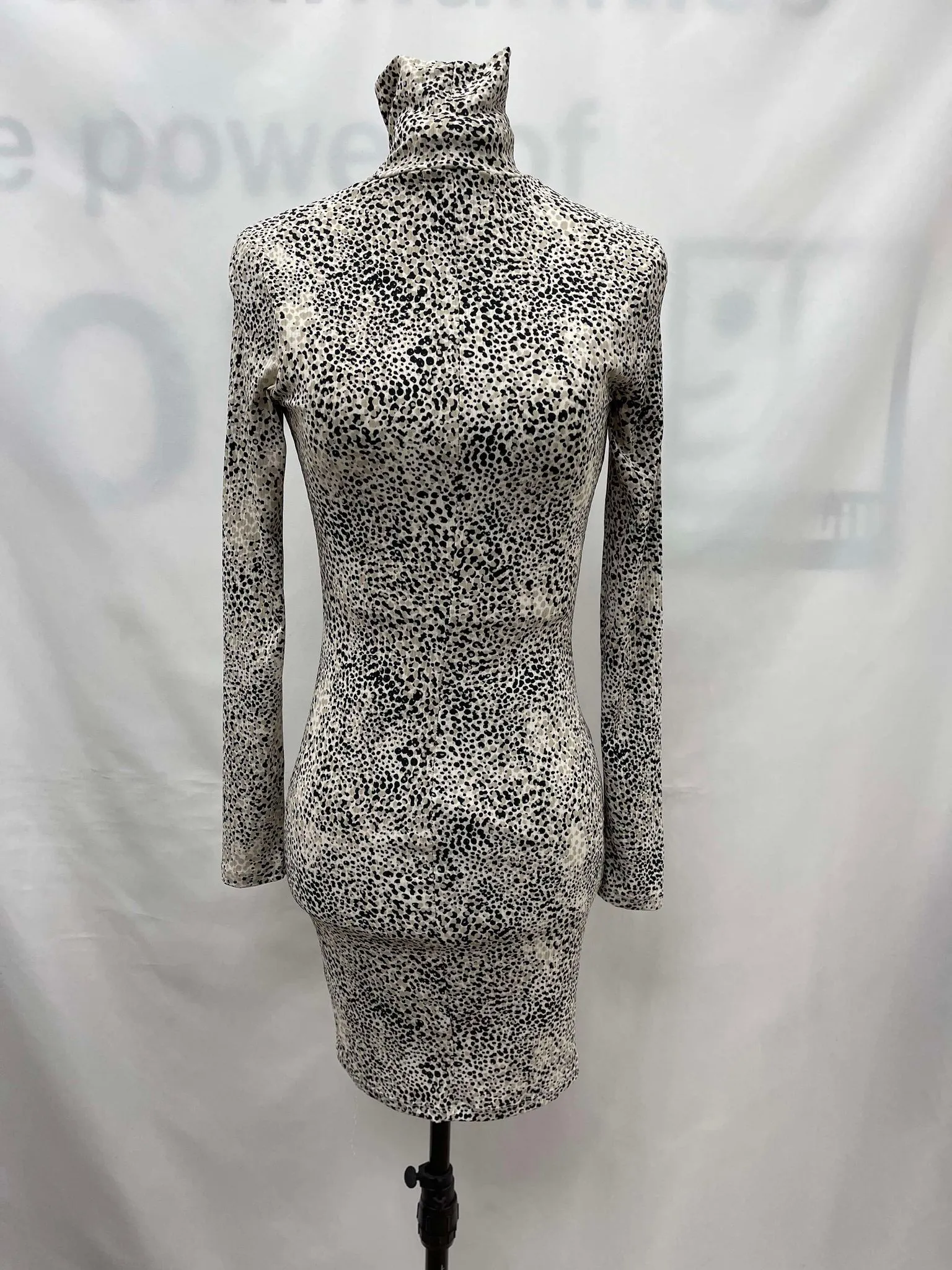Women's Dynamite Dress, Small