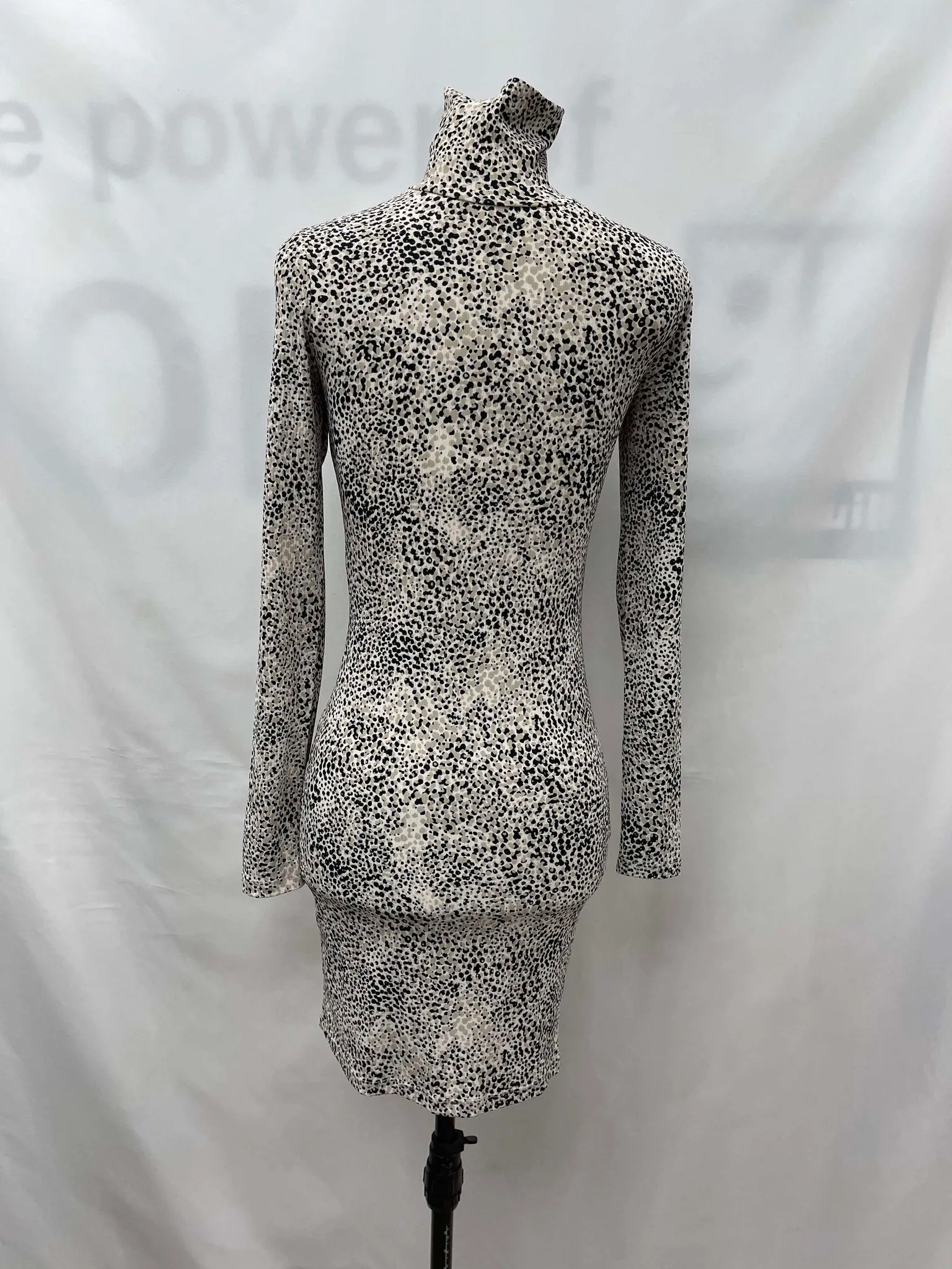Women's Dynamite Dress, Small